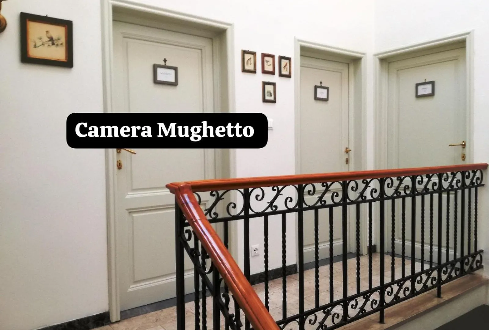 Affittacamere Rooms By Anna Firenze